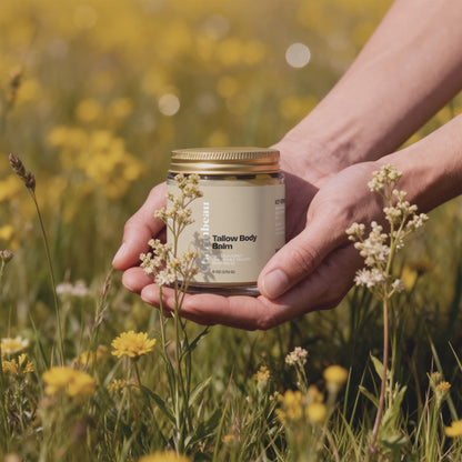 Tallow Body Balm